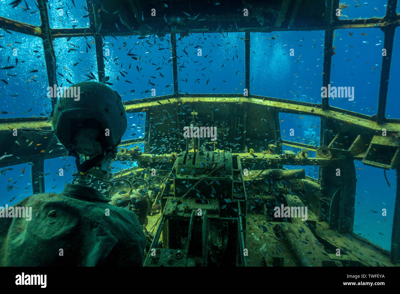 A pilot dummy surrounded by schools of fish sits at the cockpit of a C-130 crash in the Red Sea waters off Aqaba in Jordan. Stock Photo