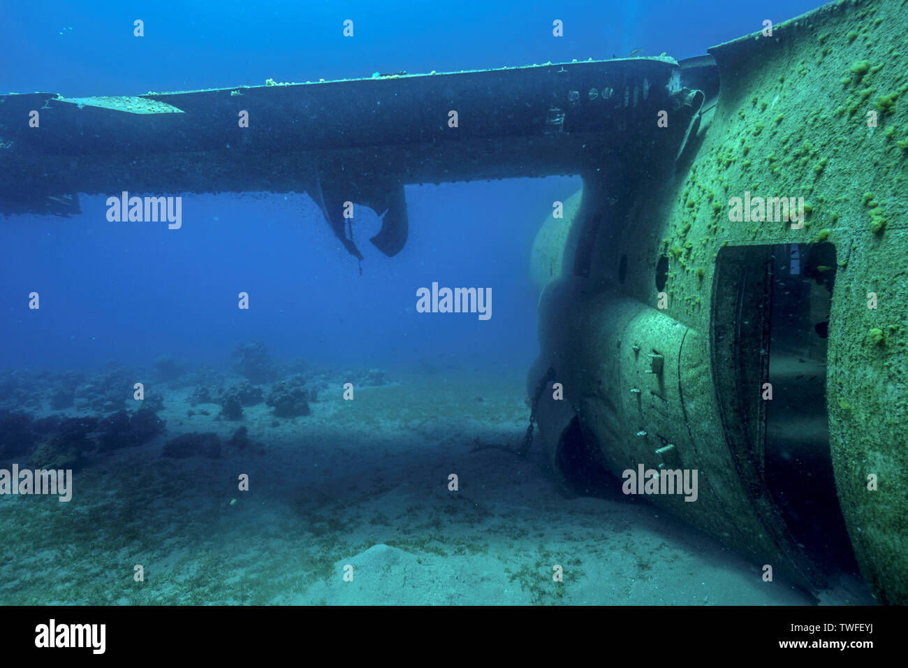 A hatch opens to the fuselage of a wrecked C-130 in the Red Sea in Jordan. Stock Photo