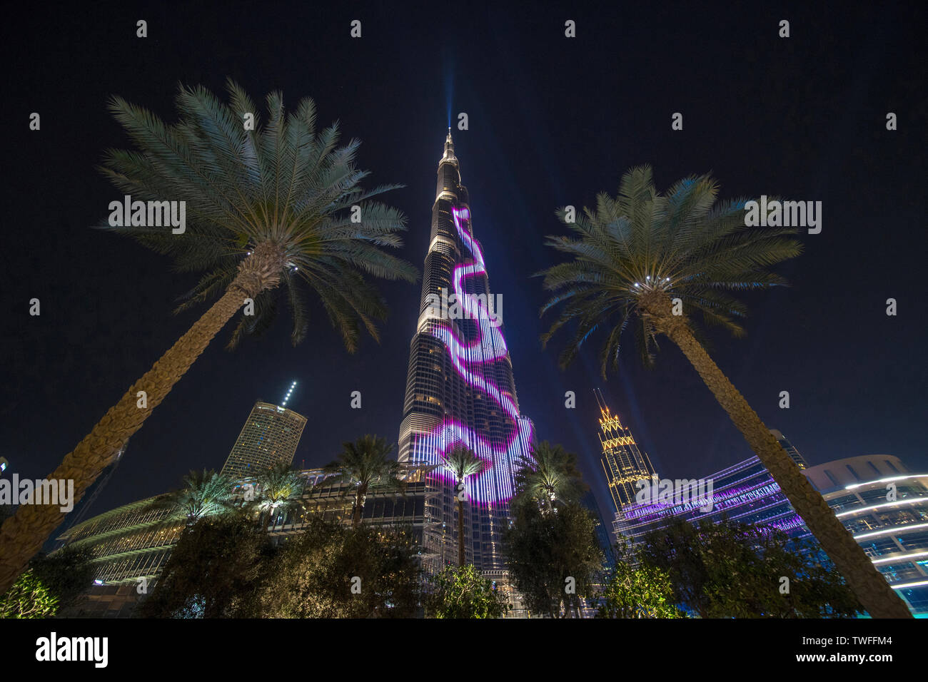 Palm trees frame the illuminated Burj Khalifa in Dubai. Stock Photo