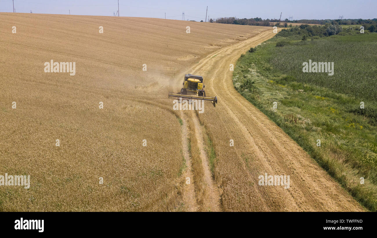 Aerial view of combine harvester on a wheat field with blue sky Stock ...