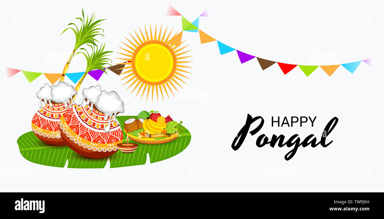 pongal background high resolution stock photography and images alamy