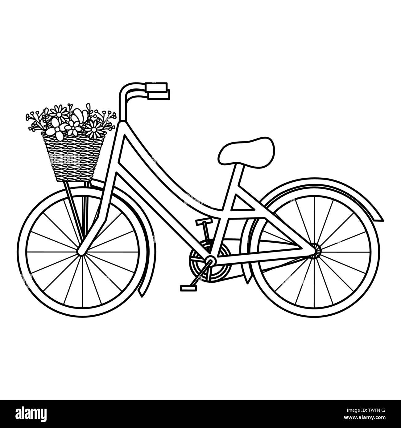 retro bicycle with basket and floral decoration vector illustration ...