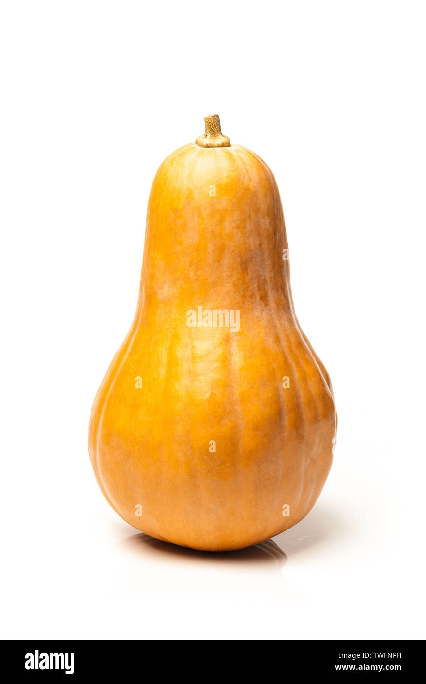 Pumpkin isolated on white background Stock Photo - Alamy