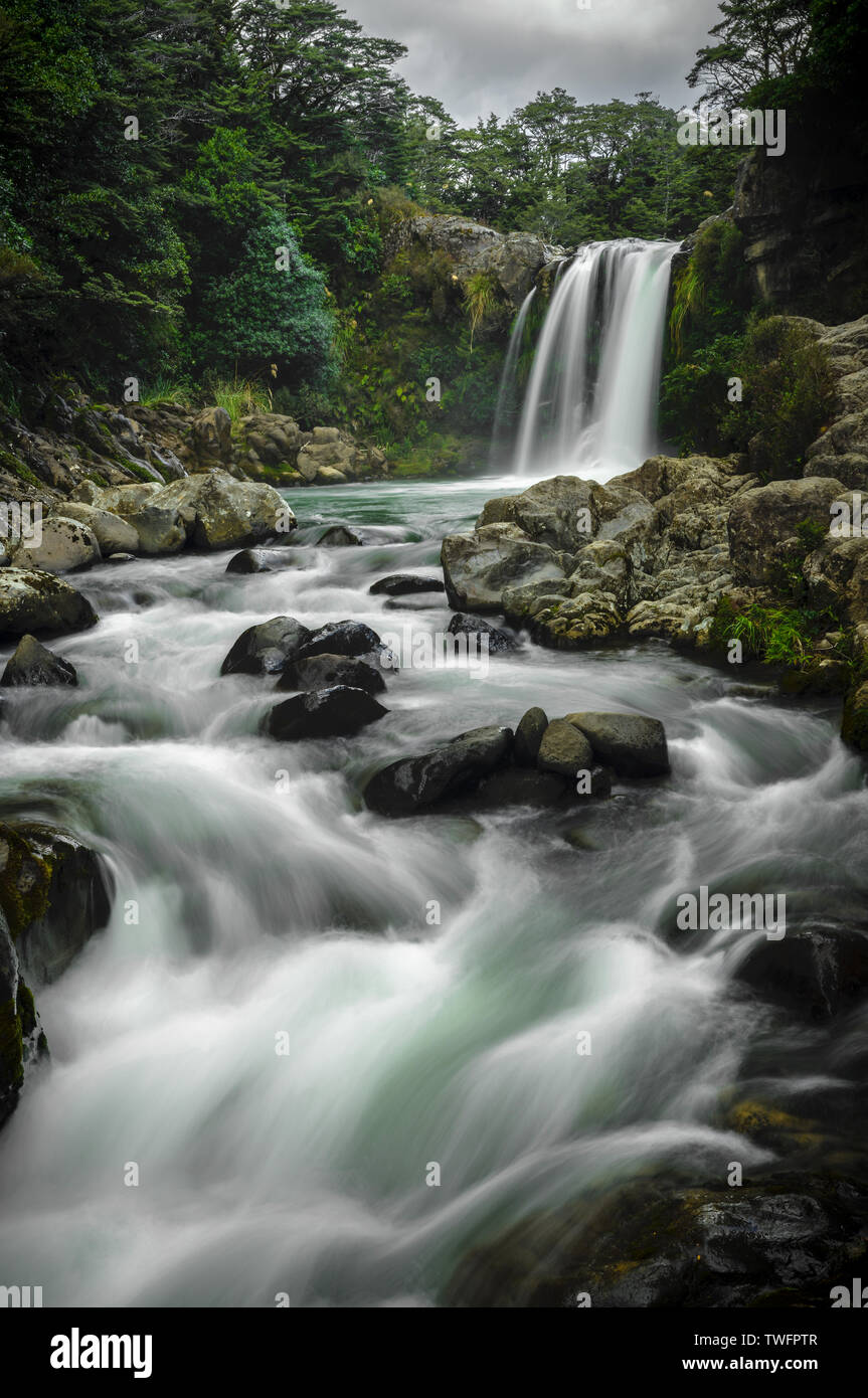 Tawhai Falls (Gollum's Pool), Tongariro National Park, North Island, New Zealand Stock Photo