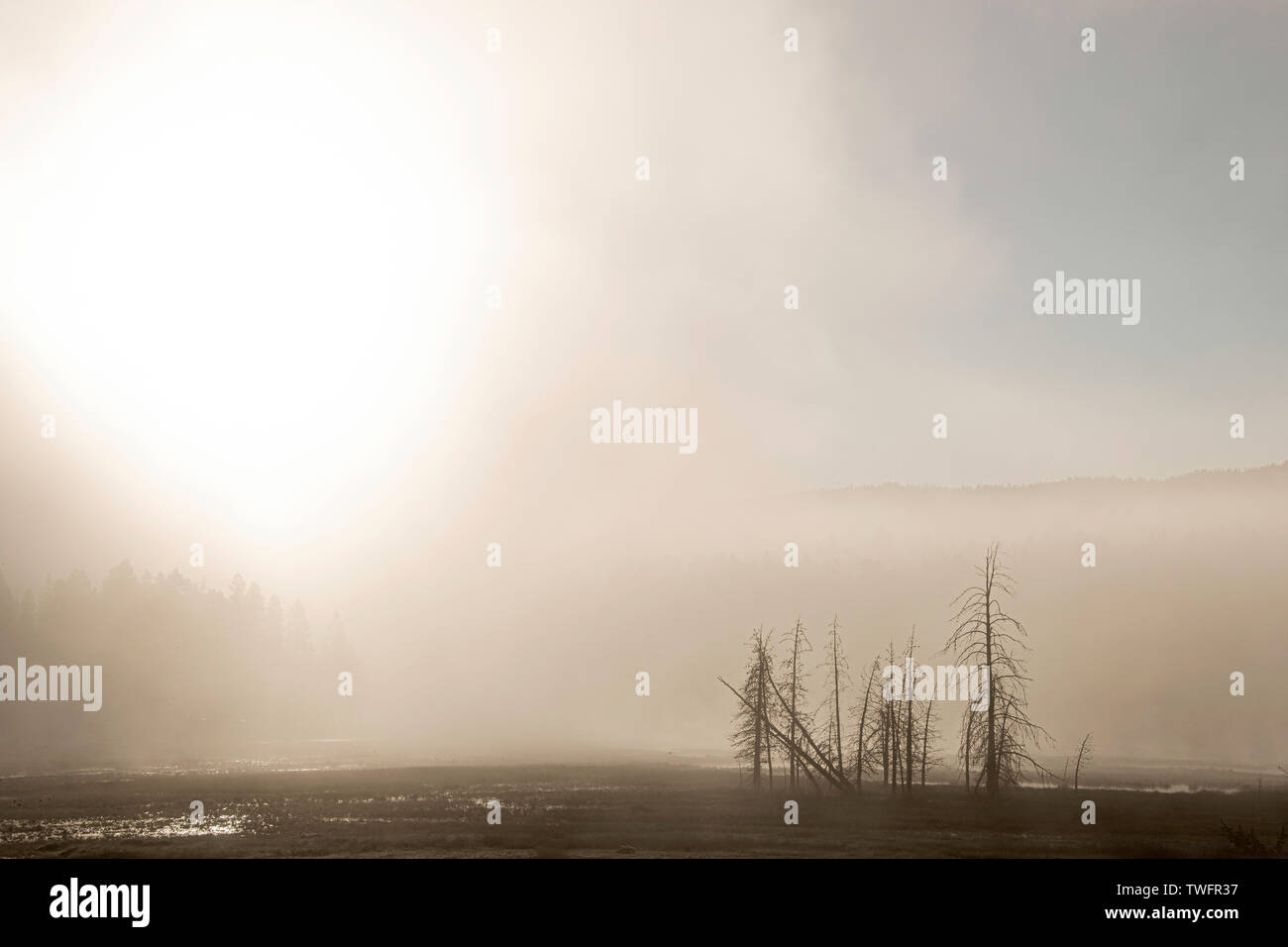 Sunrise through the mist at tangled creek from firehole lake hires