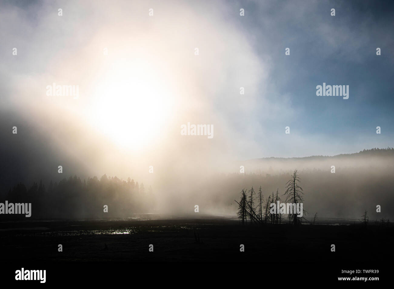Sunrise through the mist at tangled creek from firehole lake hires