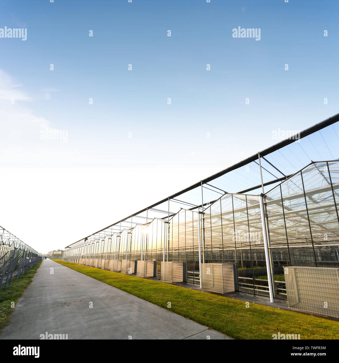 Commercial Greenhouses High Resolution Stock Photography and Images - Alamy