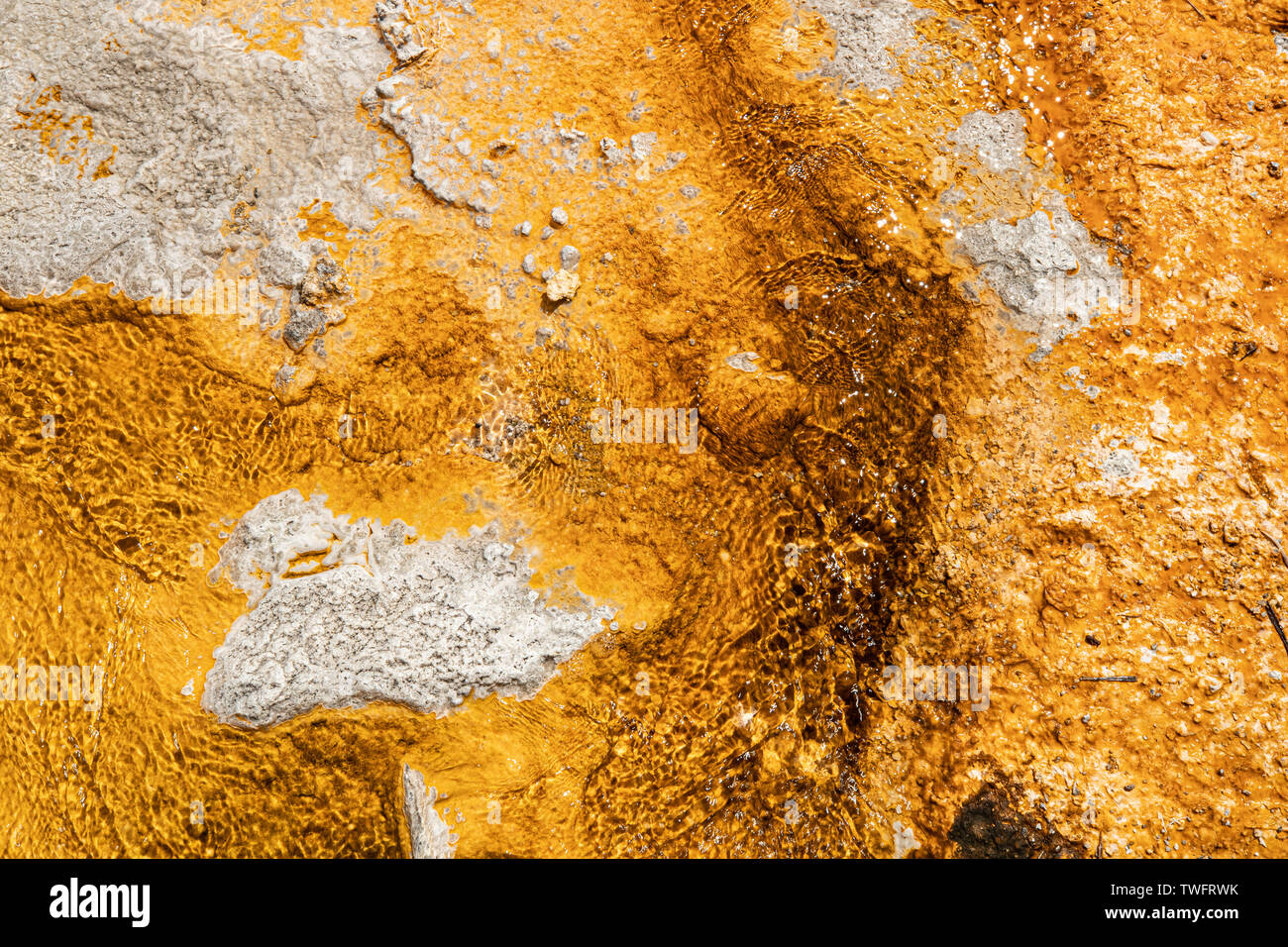 mineral deposits in the hot springs at Old Faithful, Yellowstone, Wyoming, USA Stock Photo