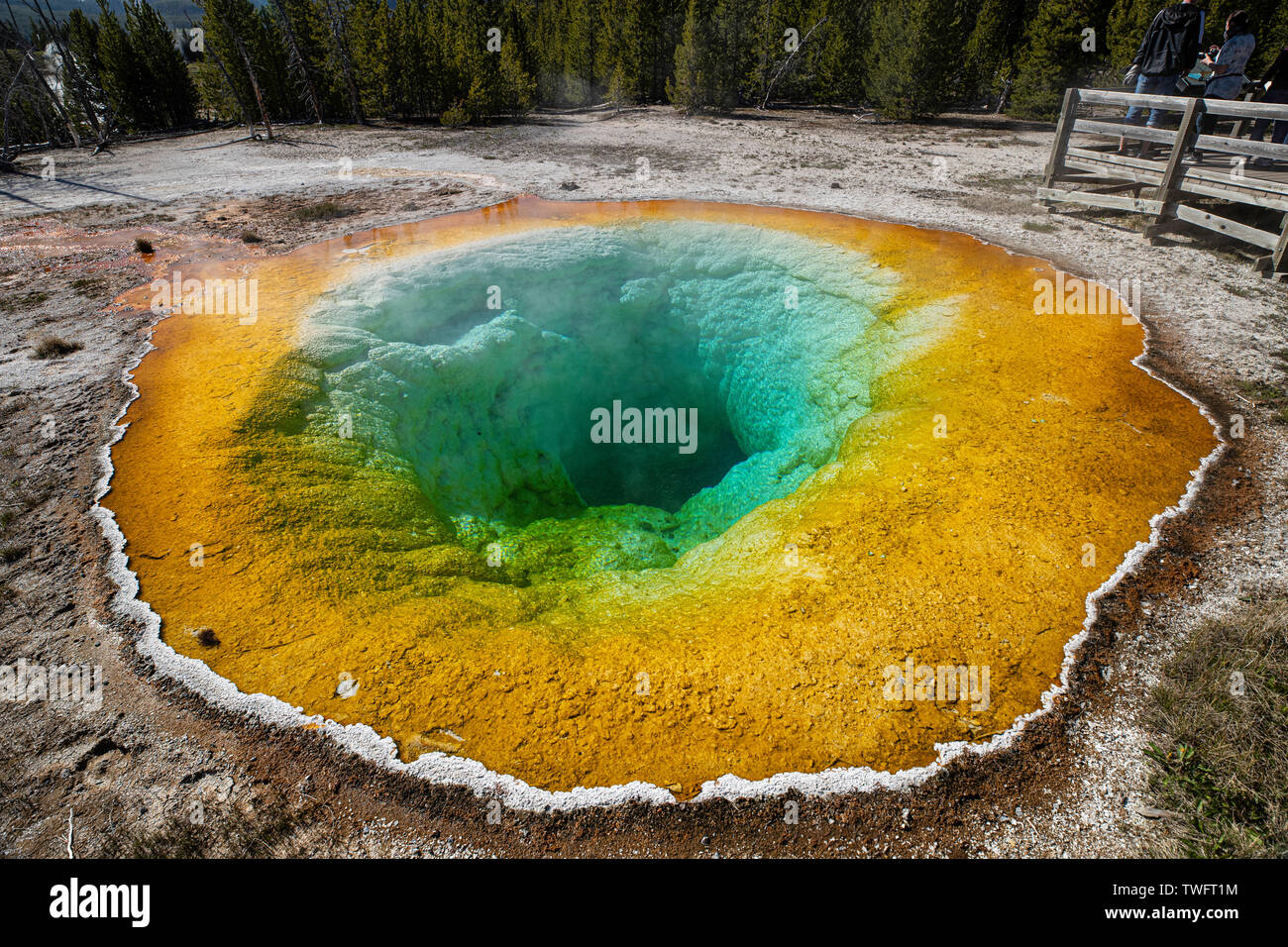 Morning Glory Pool or Morning Glory Spring, Yellowstone National Park, Teton County, Wyoming, USA Stock Photo