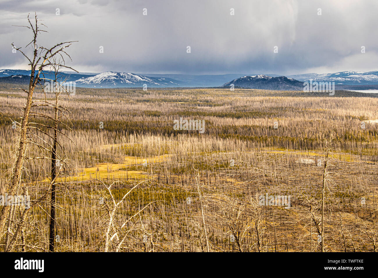 Lake Butte Overlook, looking towards Avalanche Peak, Yellowstone National Park, Wyoming, USA Stock Photo