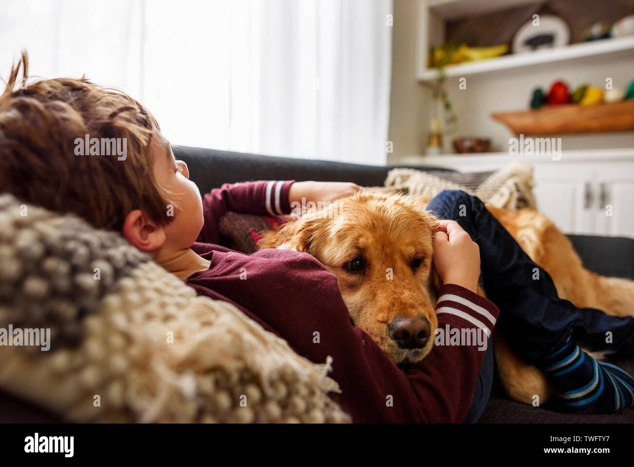 Boy lying on a couch cuddling a golden retriever dog Stock Photo