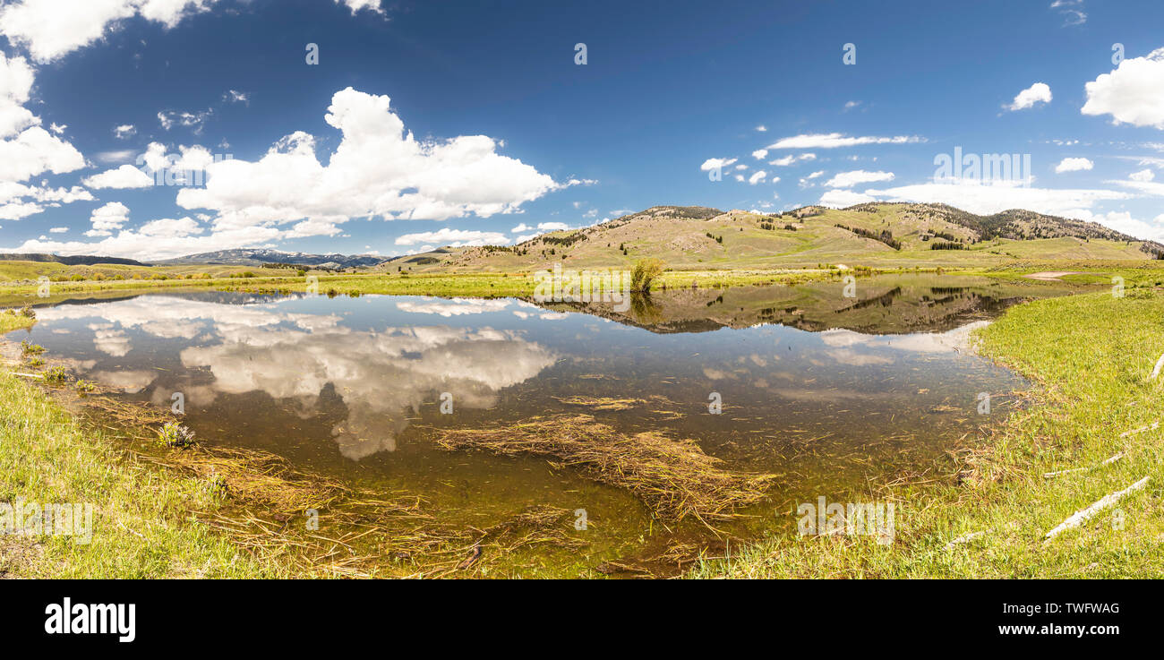 Panorama of reflections in the water at Slough creek, seen from Campground road, Yellowstone, Wyoming, USA Stock Photo