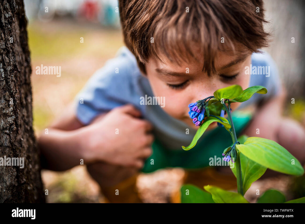 Boy crouching in the garden smelling a flower, United States Stock Photo