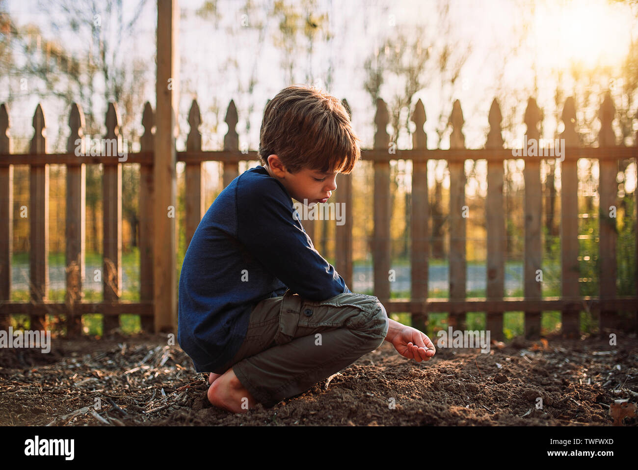 Boy planting seeds in a garden, United States Stock Photo