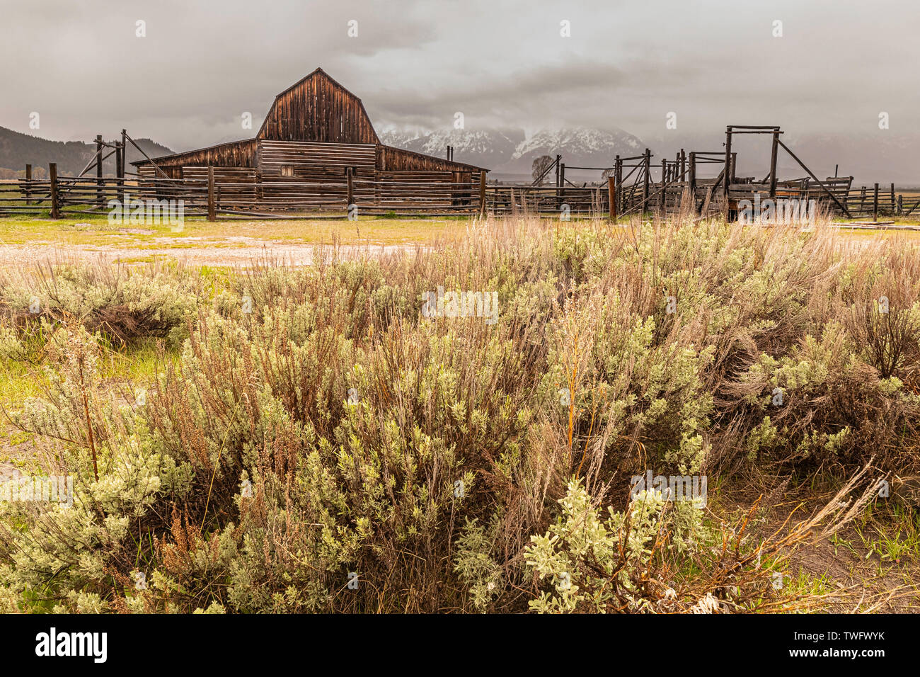 Derelict barns at Mormon Row, Grand Teton national park, Wyoming, USA Stock Photo