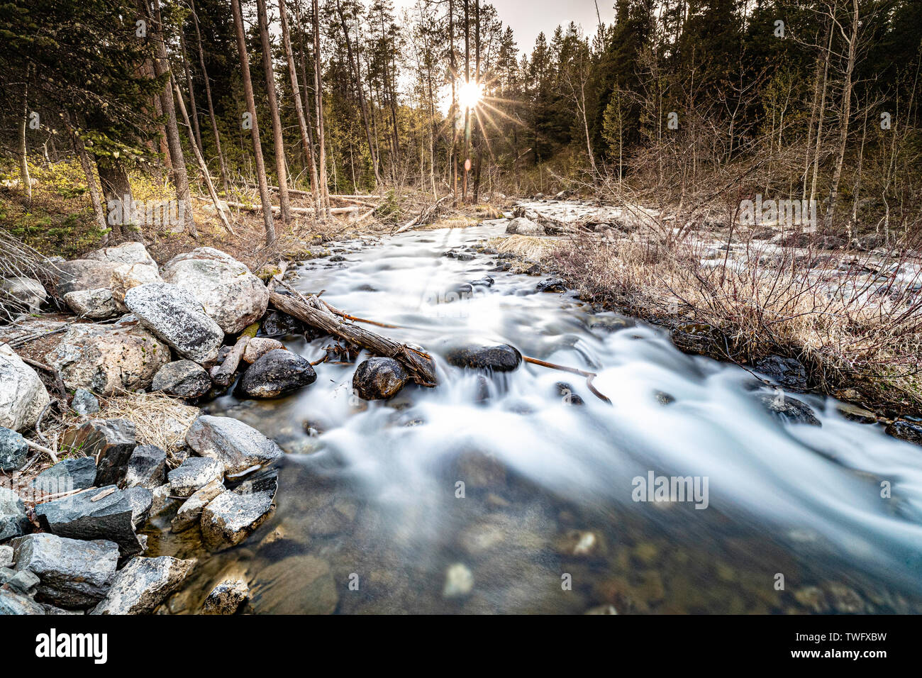 Stream runs through a forest and over rocks. Long exposure.  Lake Creek, Grand Teton National Park Stock Photo