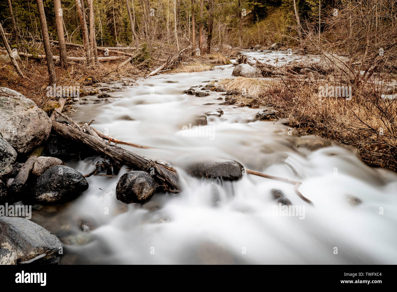 Stream runs through a forest and over rocks. Long exposure.  Lake Creek, Grand Teton National Park Stock Photo