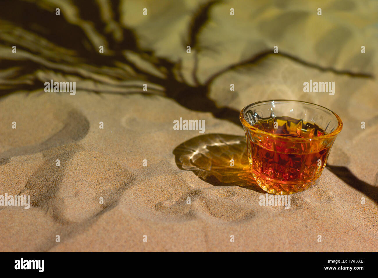 Arabian Desert Tea and Palm tree Shadow on Sand Series 1 Stock Photo ...