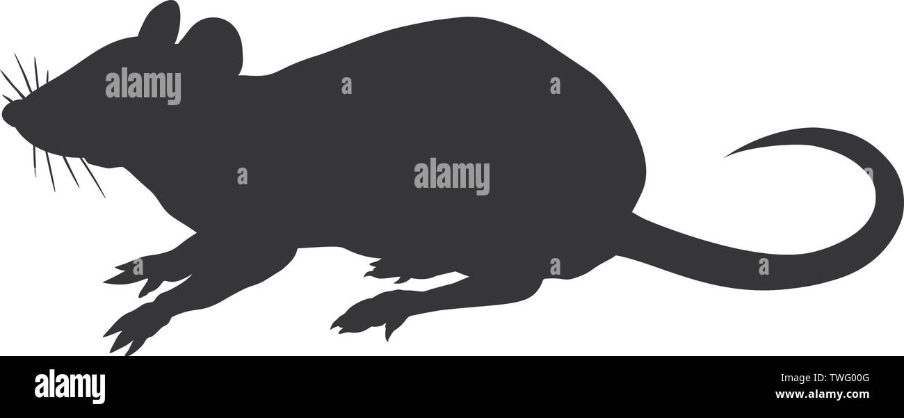 Silhouette of the rat isolated on white background. Stock Vector