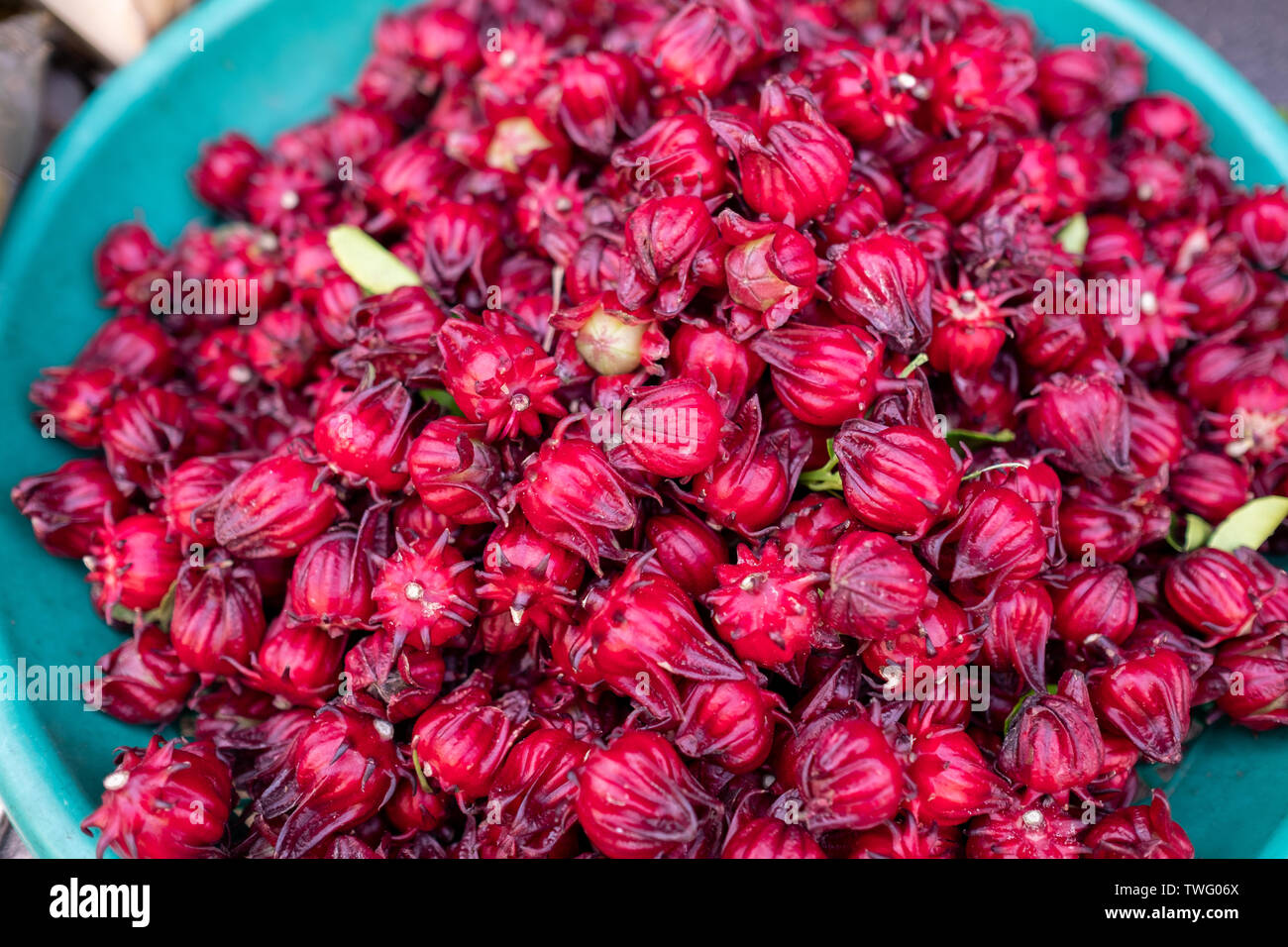 Overhead view of Roselle, Thailand Stock Photo