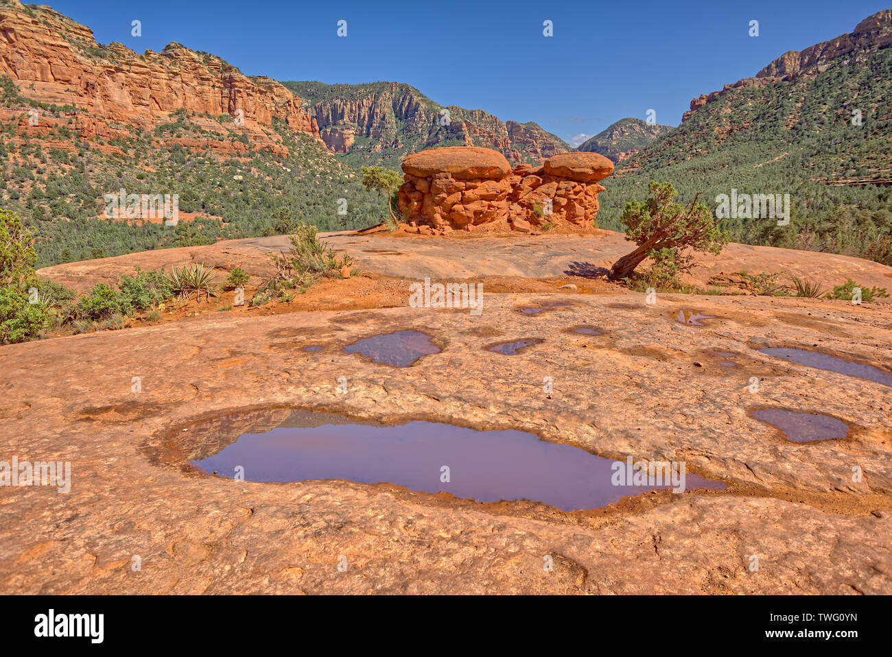 Puddles of water near Chicken Rock, Munds Mountain wilderness, Sedona ...