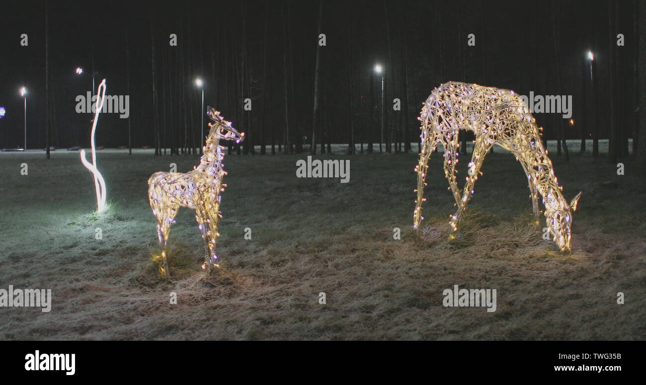 Christmas illumination of the deer family in the evening Stock Photo