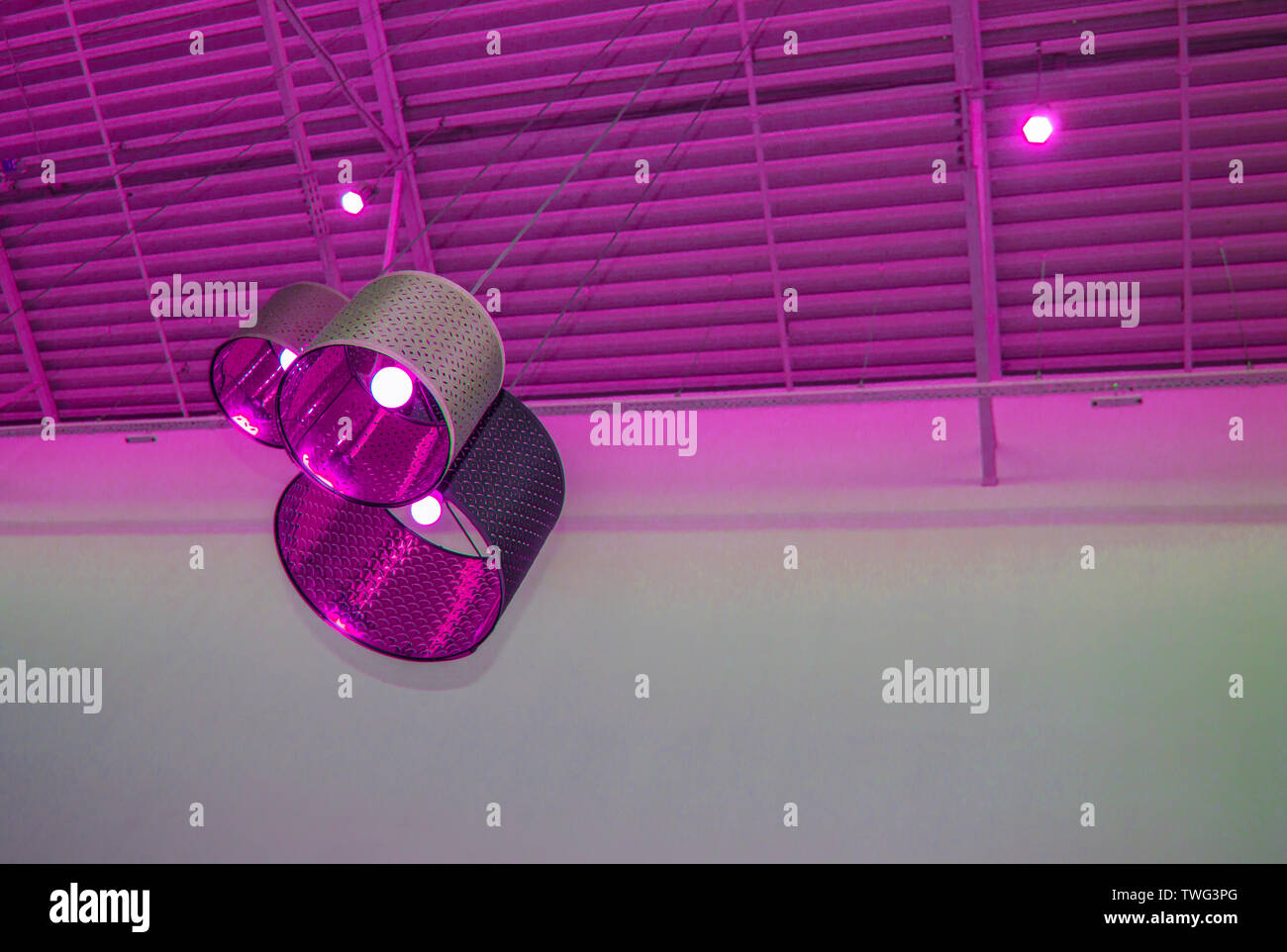 Ultra Modern Loft Style In Purple Toned Color Decorative