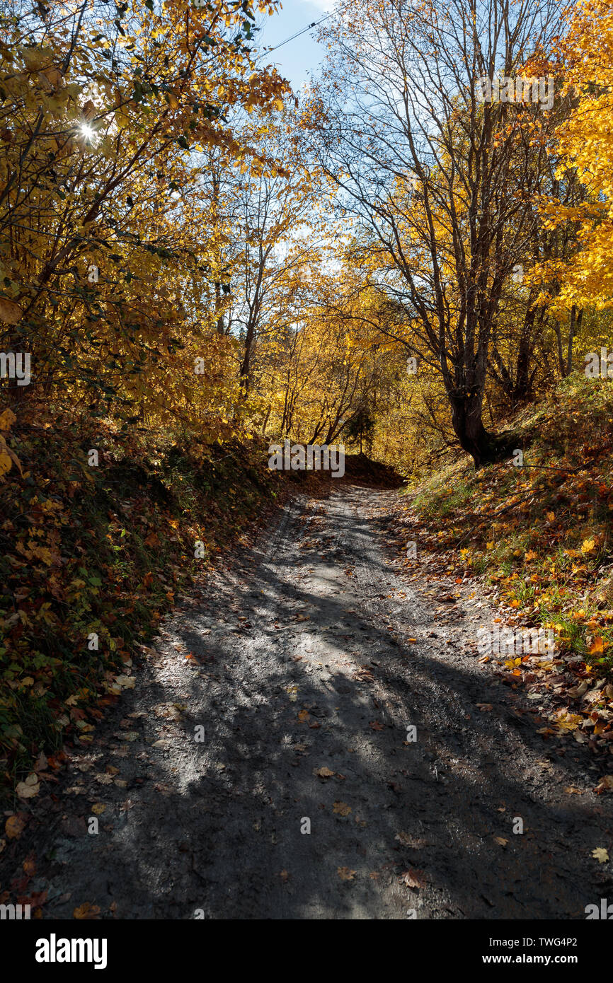 autumn landscape with bright colors in the daytime Stock Photo - Alamy