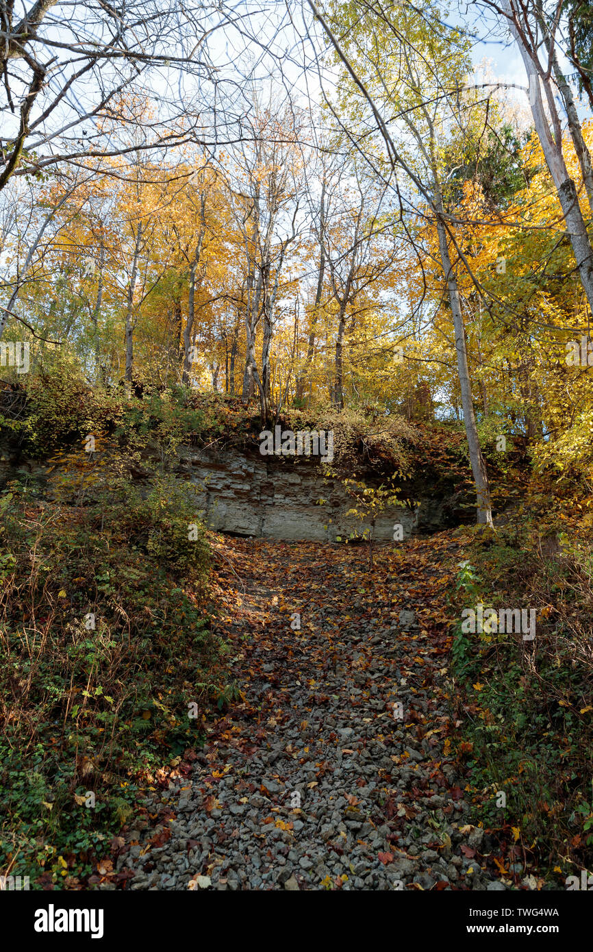autumn landscape with bright colors in the daytime Stock Photo - Alamy