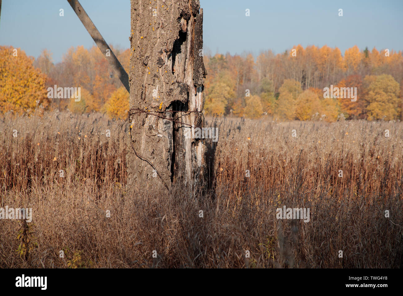 autumn landscape with bright colors in the daytime Stock Photo - Alamy
