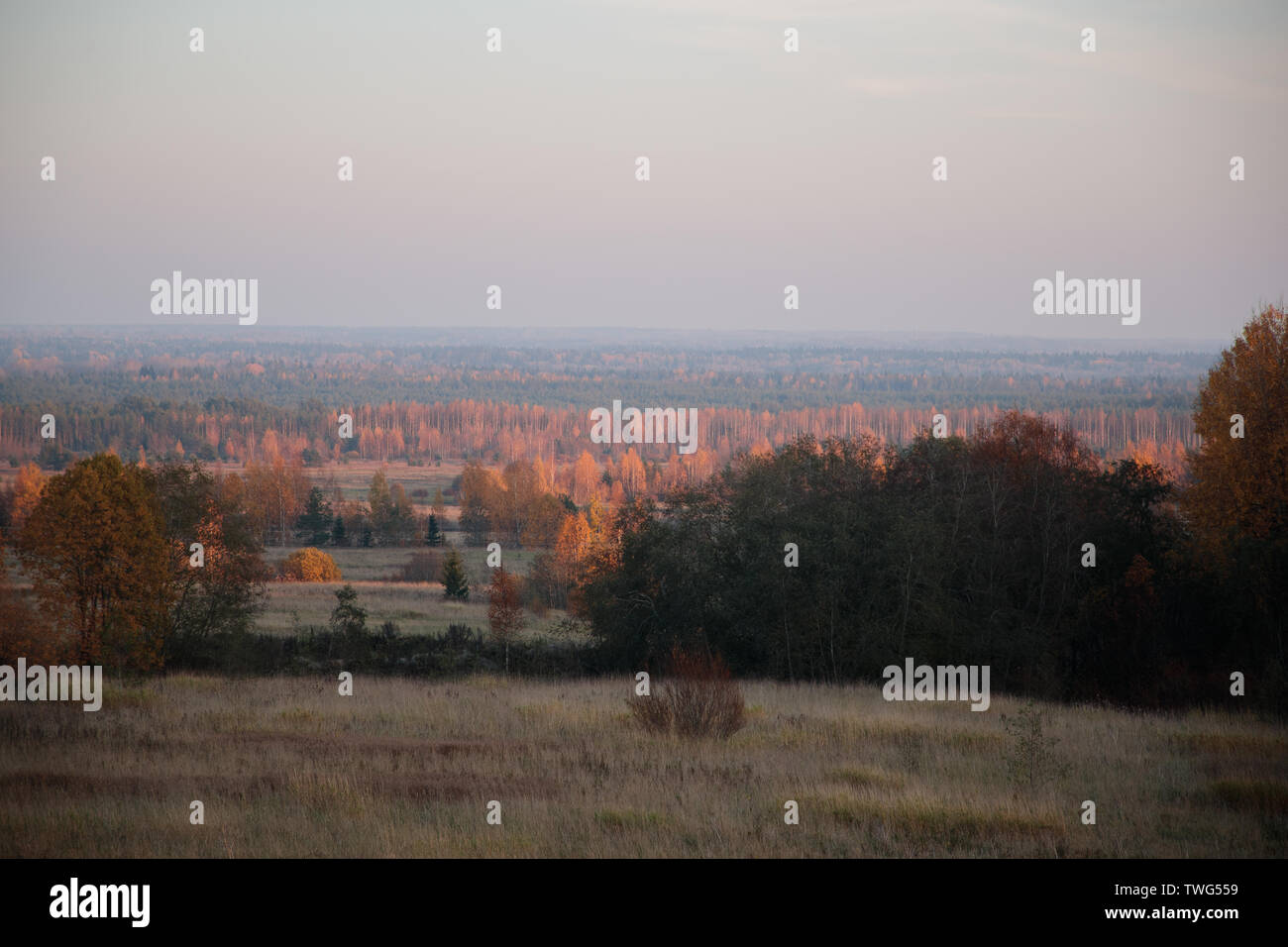 autumn landscape with bright colors in the daytime Stock Photo - Alamy