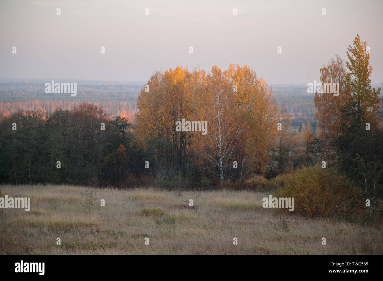 autumn landscape with bright colors in the daytime Stock Photo - Alamy