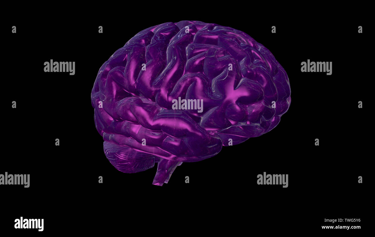 3D rendering of computer model of human brain and artificial ...