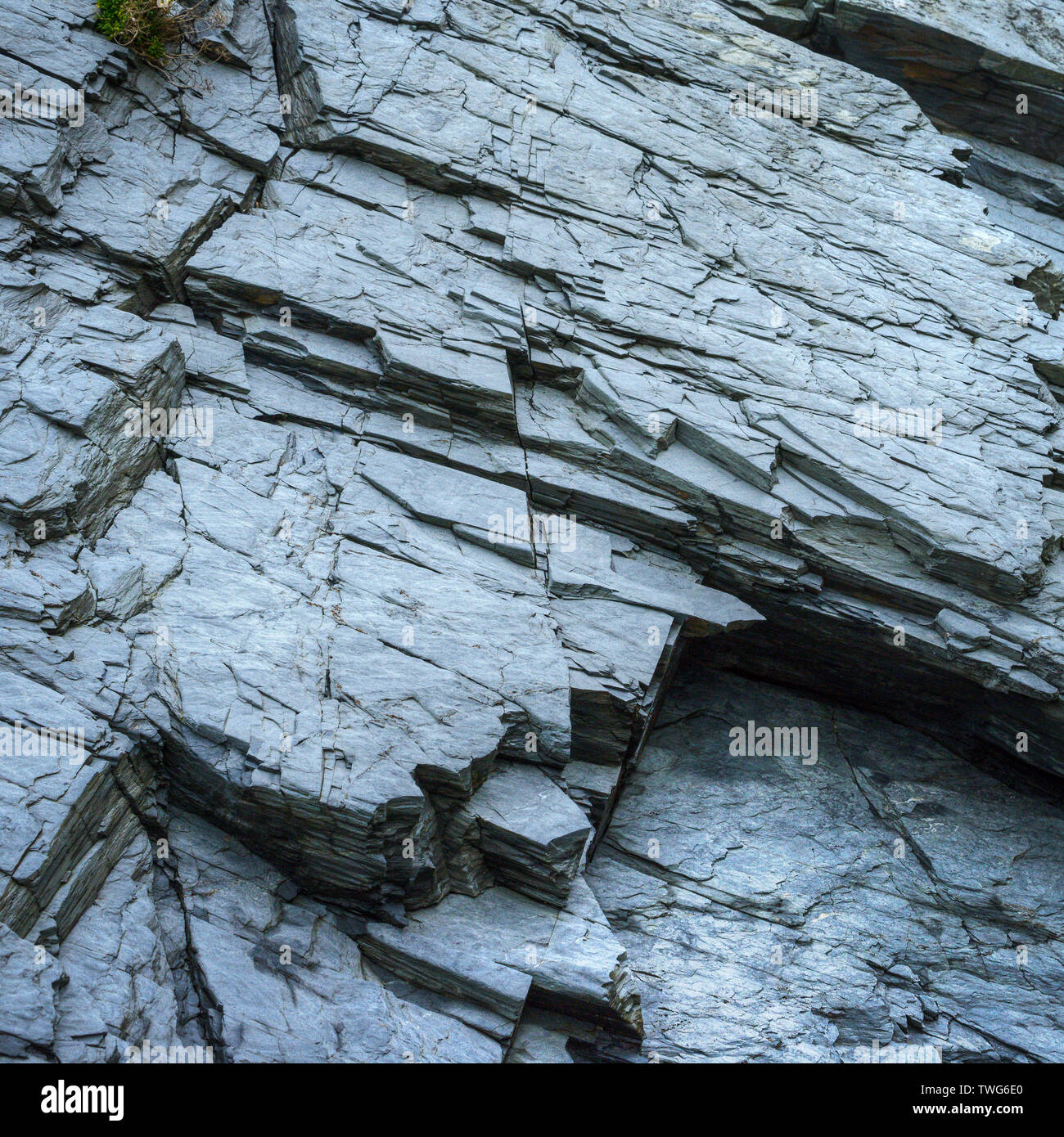 Angled texture in a slate rock, typical of marine cliffs with frequent landslides Stock Photo