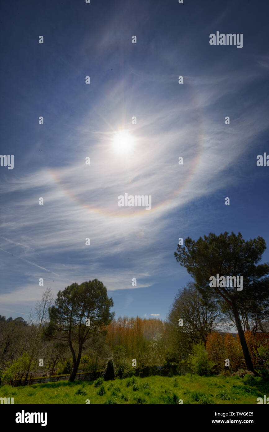 Atmospheric optical phenomenon called parhelion over a group of trees Stock Photo