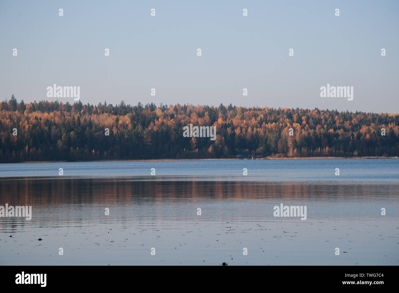 Holidays lake forest hi-res stock photography and images - Alamy