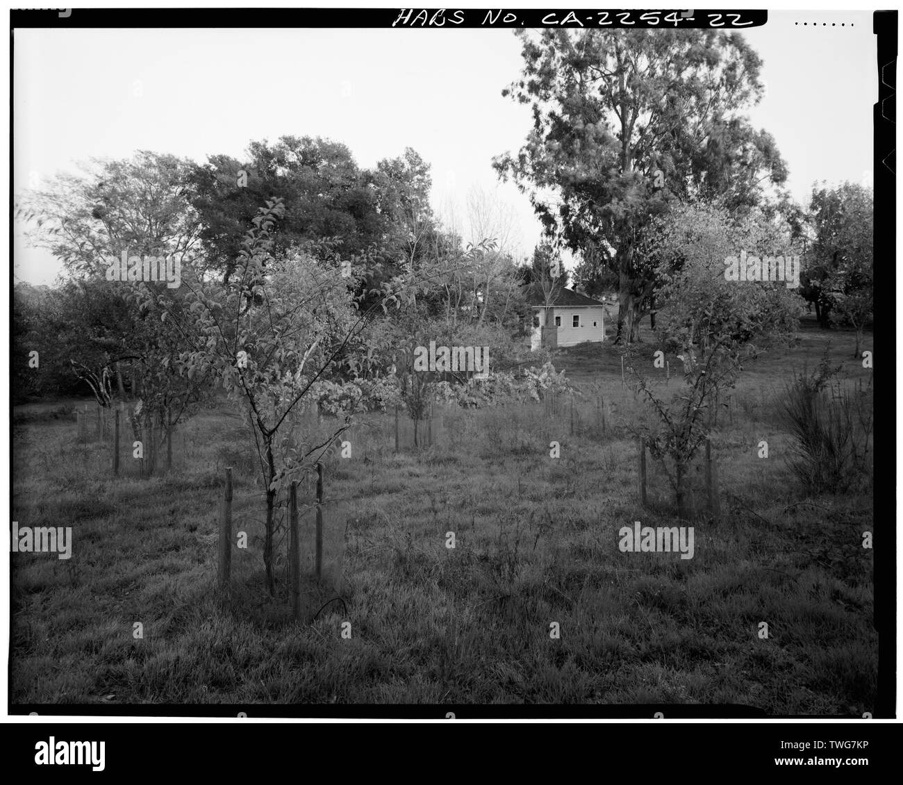 Ridge in foreground Cut Out Stock Images & Pictures Alamy