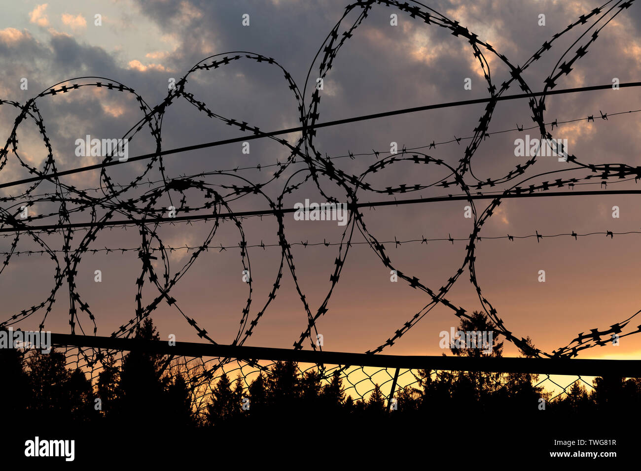 beautiful sunset behind the fence with barbed wire Stock Photo - Alamy