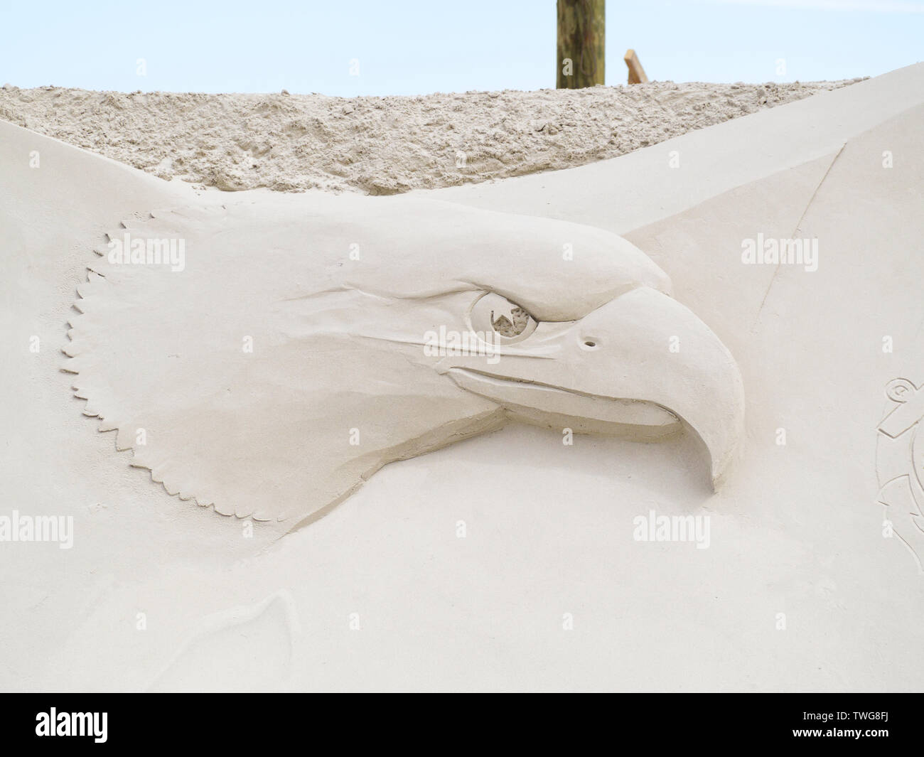United States Marine Corps Eagle sculpted in sand, closeup. Texas Sandfest 2019 in Port Aransas, Texas USA. Stock Photo