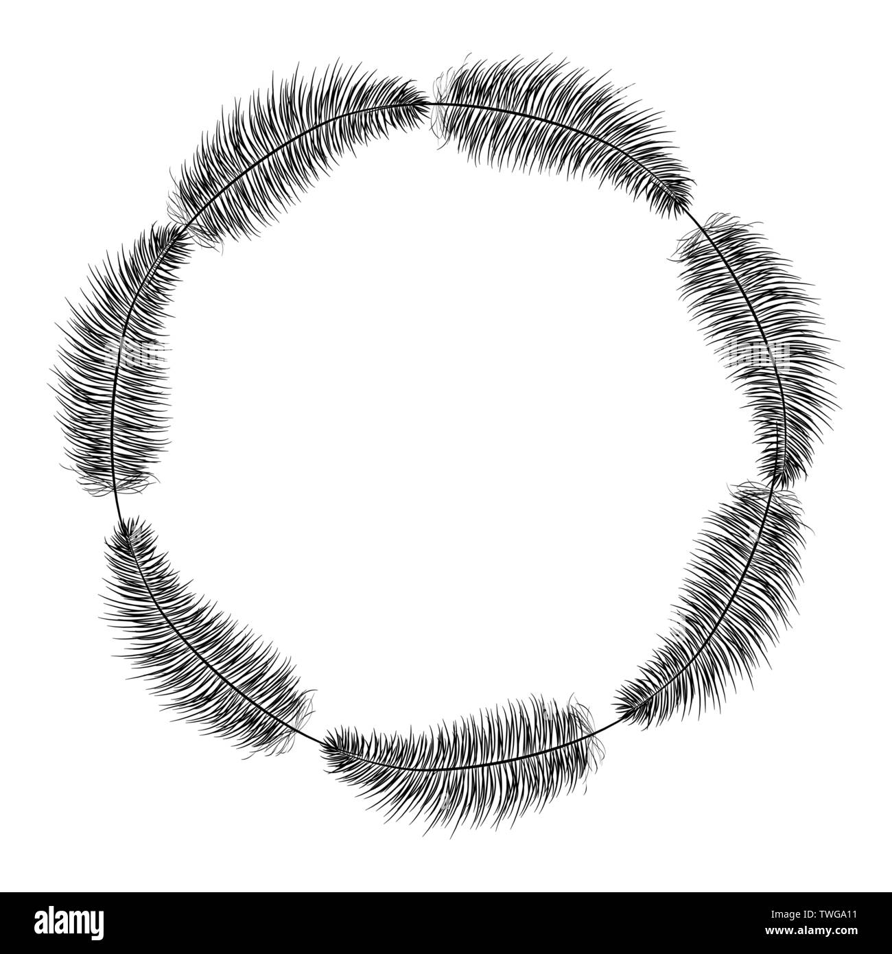 circular bohemian frame with feathers vector illustration design Stock ...