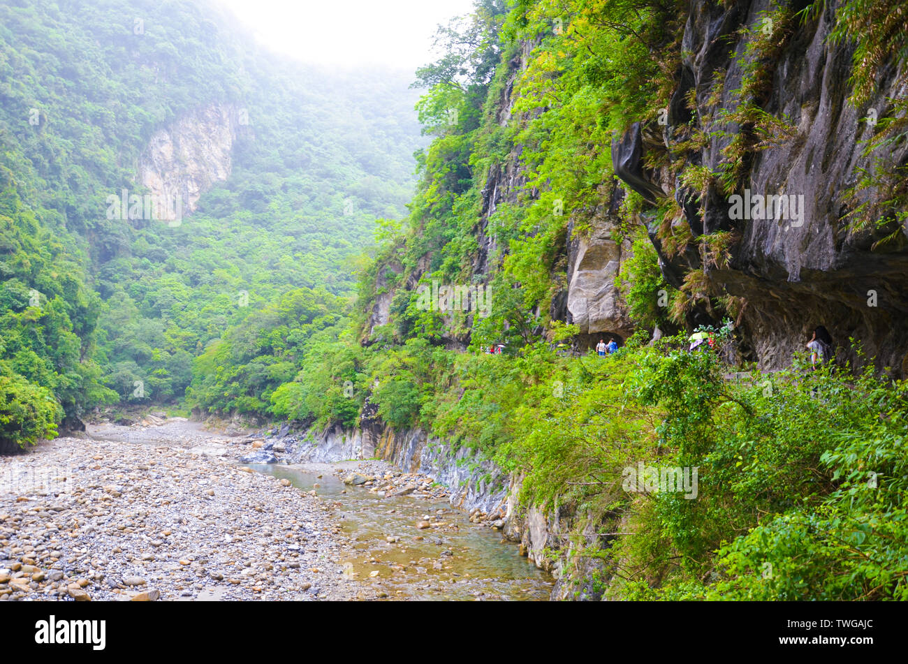 Magnificent Taroko Gorge in Taroko National Park, Taiwan captured with tourists hiking on a rainy day with fog in background. Green tropical forest, mist. Nature, landscape. Stock Photo