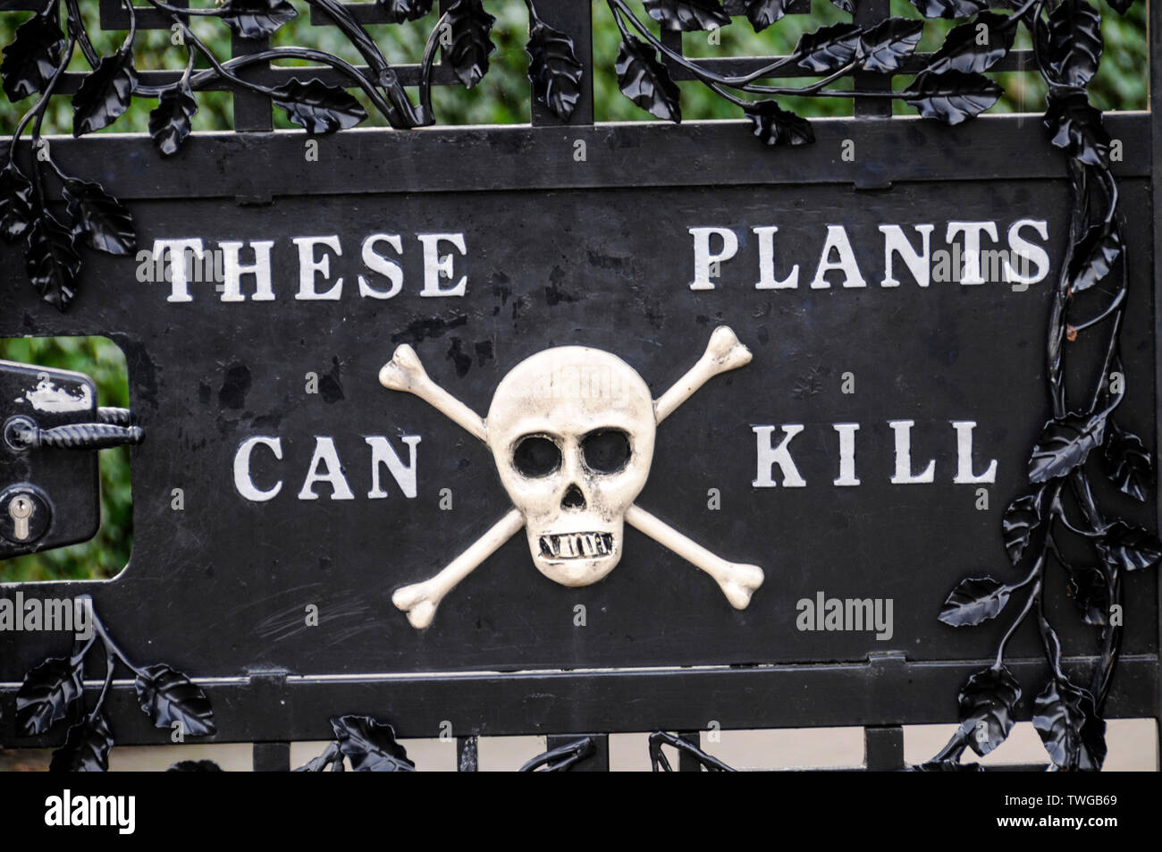 The gates with the Skull & Crossbones signs to the Poison Garden where poisonous plants are grown within the grounds of Alnwick castle at Alnwick in N Stock Photo