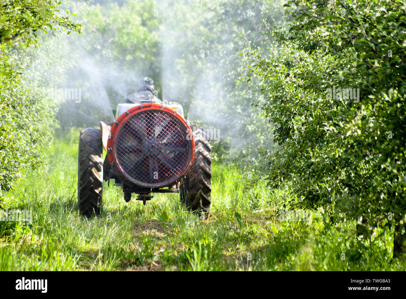 Tractor sprays insecticide in apple orchard fields image Stock Photo