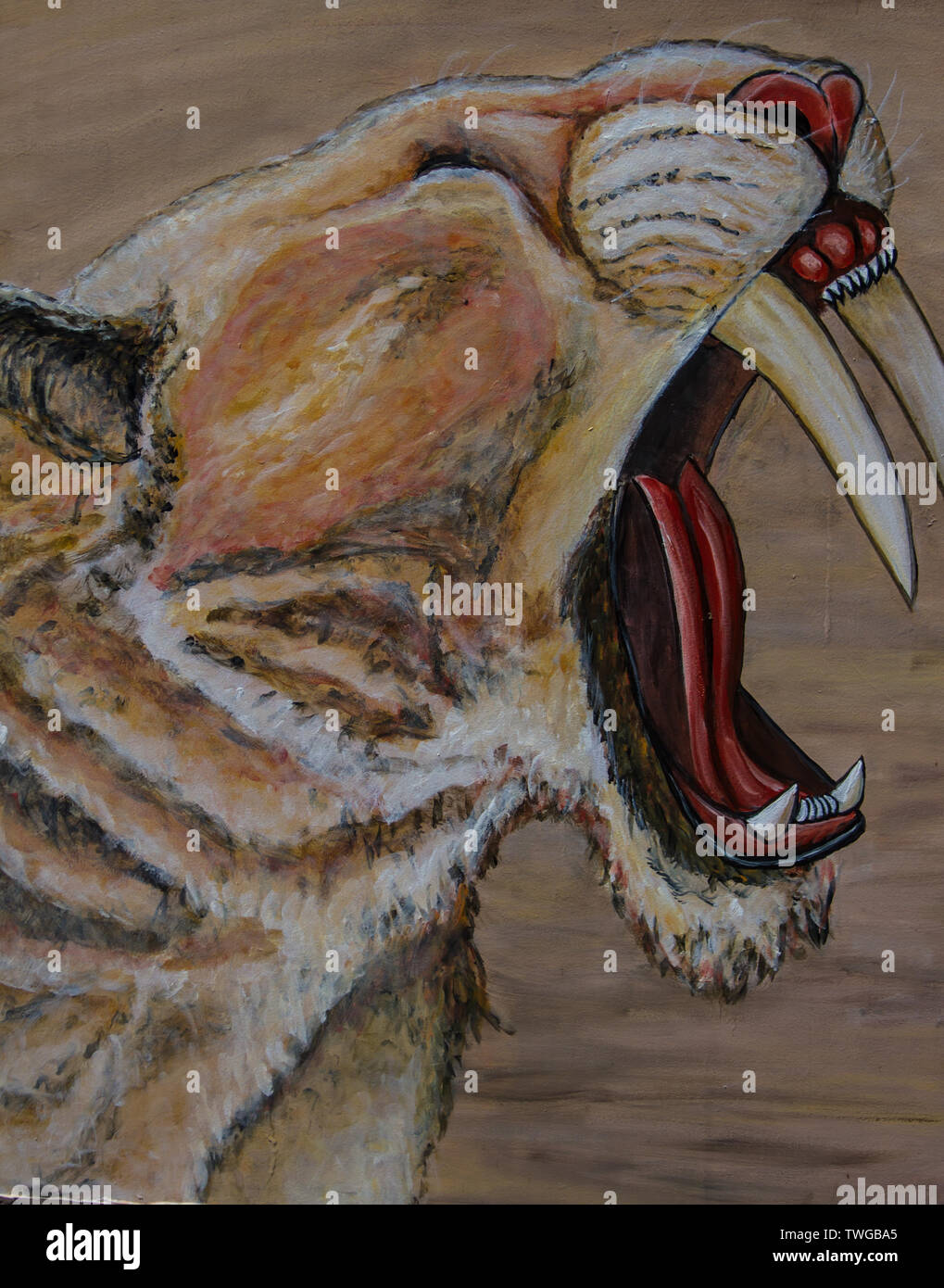 The Saber tooth tiger prehistoric Stock Photo - Alamy