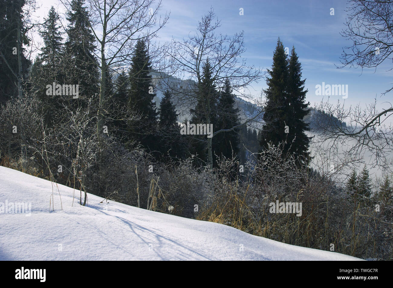Foothills of Zailiysky Alatau at winter (Neighbourhood of city Almaty, Medeo, Kazakhstan) Stock Photo