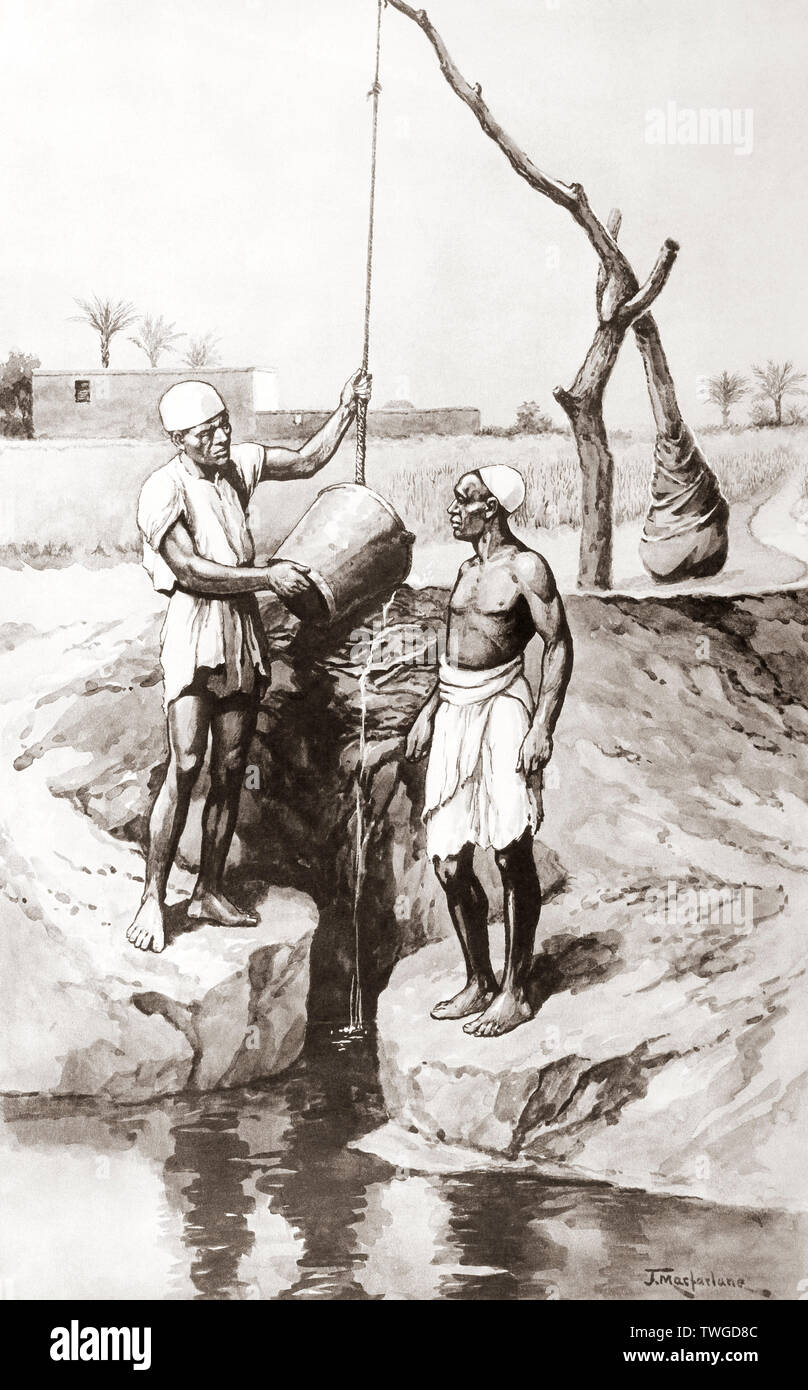Egyptian shadoof or shaduf, an early irrigation tool. A long pole with a bucket attached to the end of it was used to take water from a lake and deposit it on land.  After a work by J. Macfarlane. From a contemporary print c.1935. Stock Photo