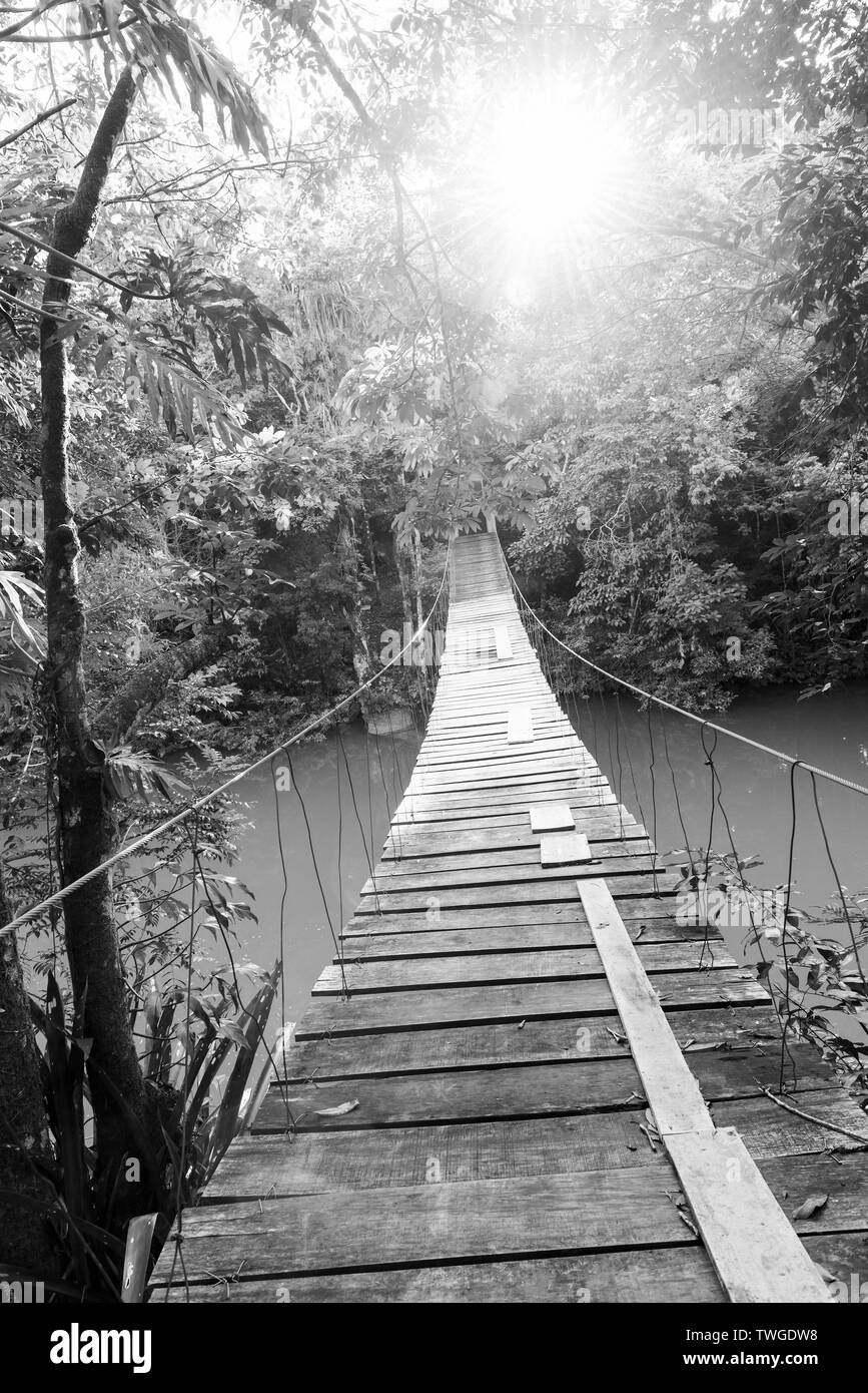 Epic wooden bridge hanging over jungle river as adventure travel scene in stunning black and white Stock Photo