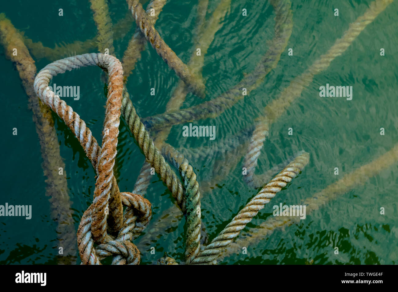 rope on the water Stock Photo Alamy