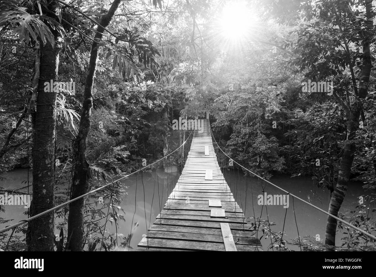 Wooden footbridge over river in tranquil forest in stunning black and white Stock Photo