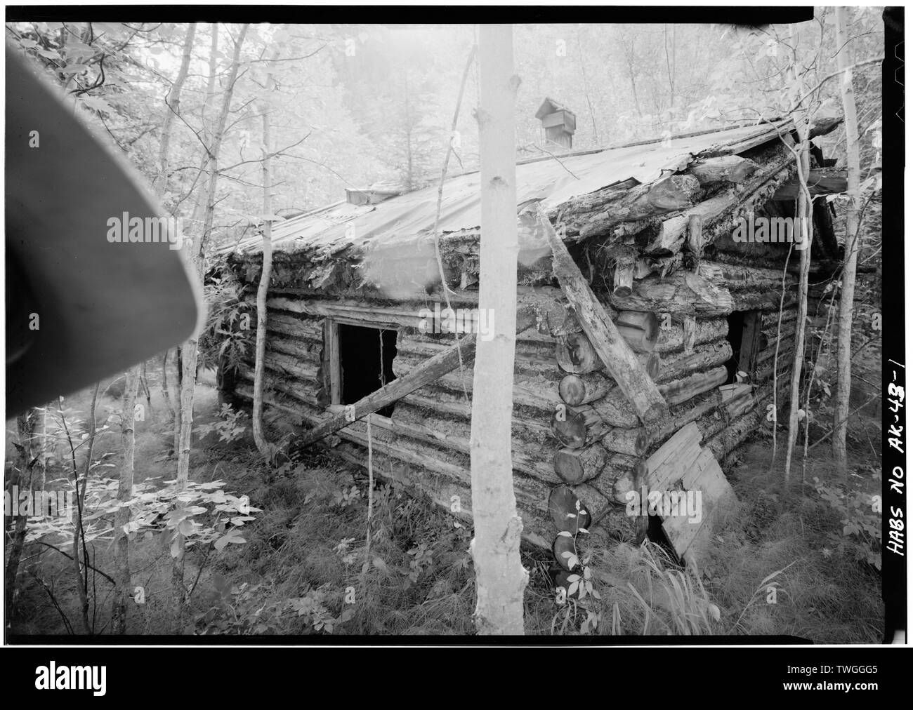 REAR, LOOKING NORTH - George McGregor Cabin, Yukon River near Coal Creek, Circle, Yukon-Koyukuk Census Area, AK Stock Photo